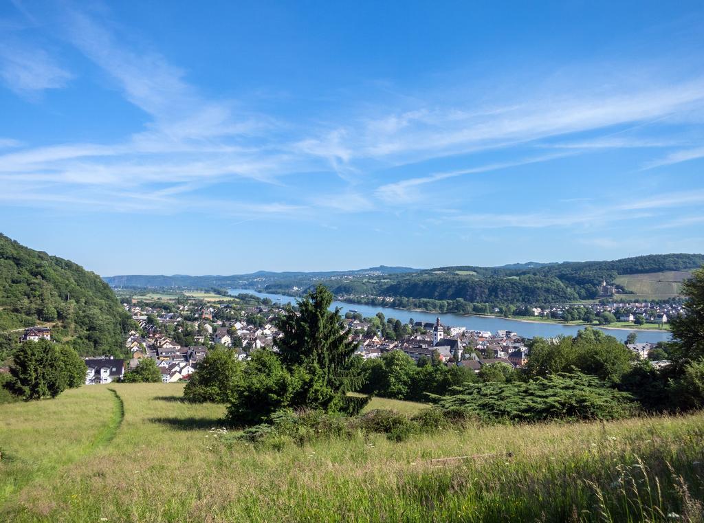 Hotel Und Landgasthof Zum Bockshahn Spessart  Eksteriør billede